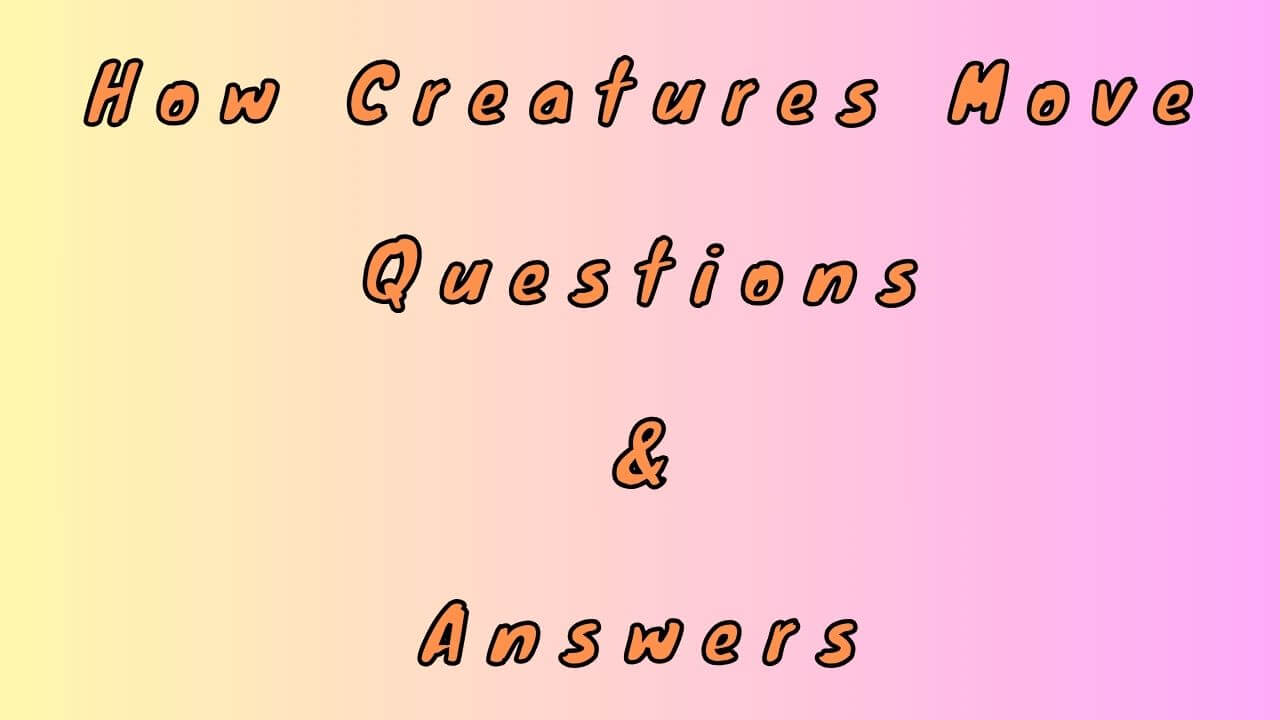 How Creatures Move Questions & Answers