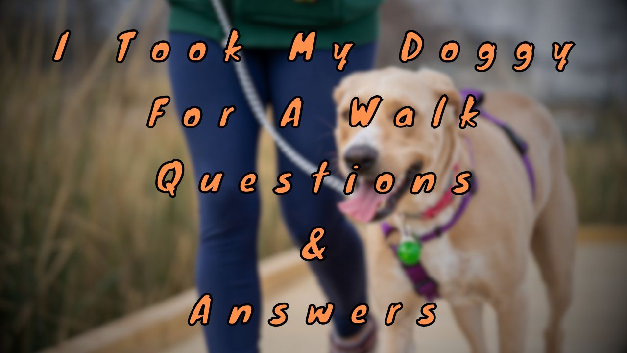 I Took My Doggy For A Walk Questions & Answers