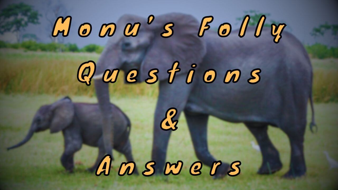 Monu’s Folly Questions & Answers