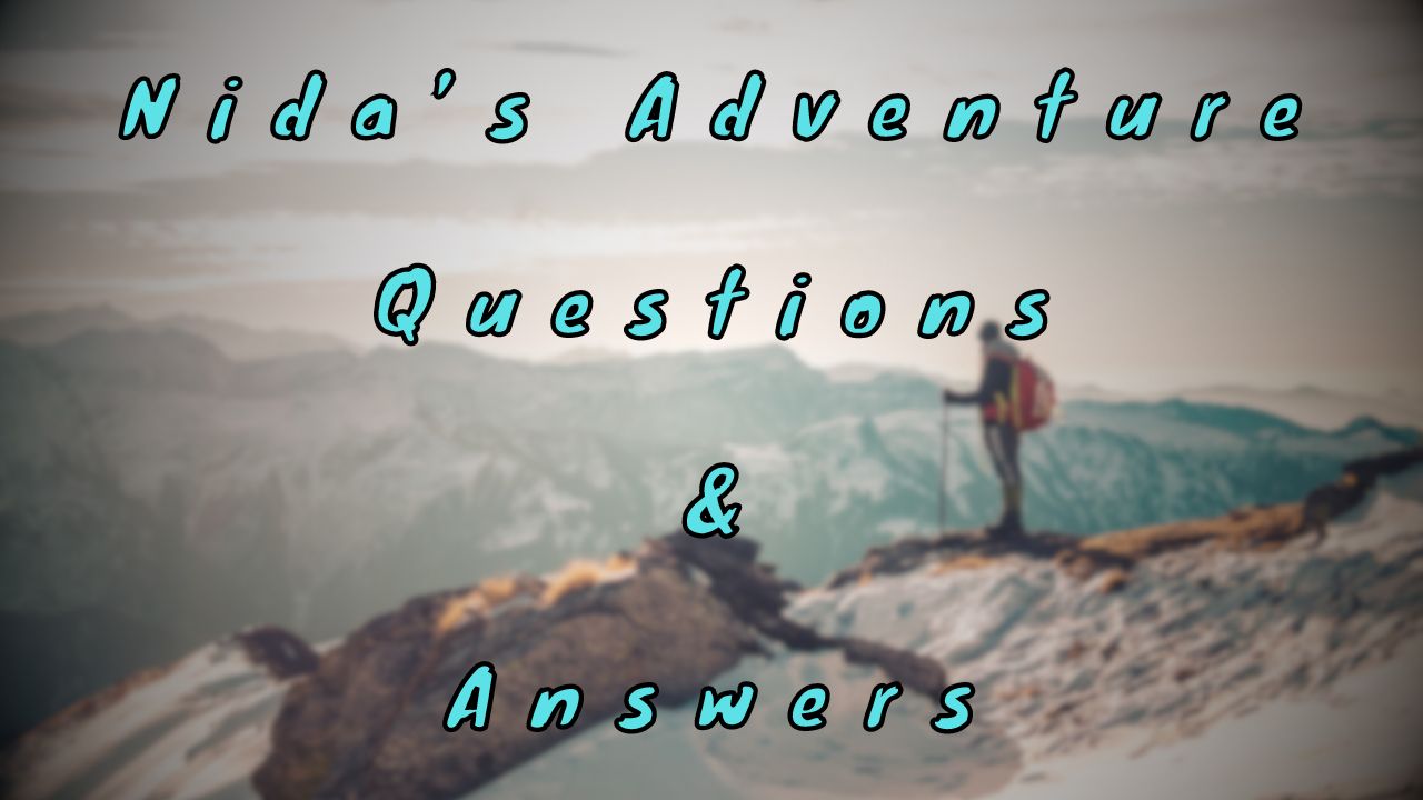 Nida’s Adventure Questions & Answers