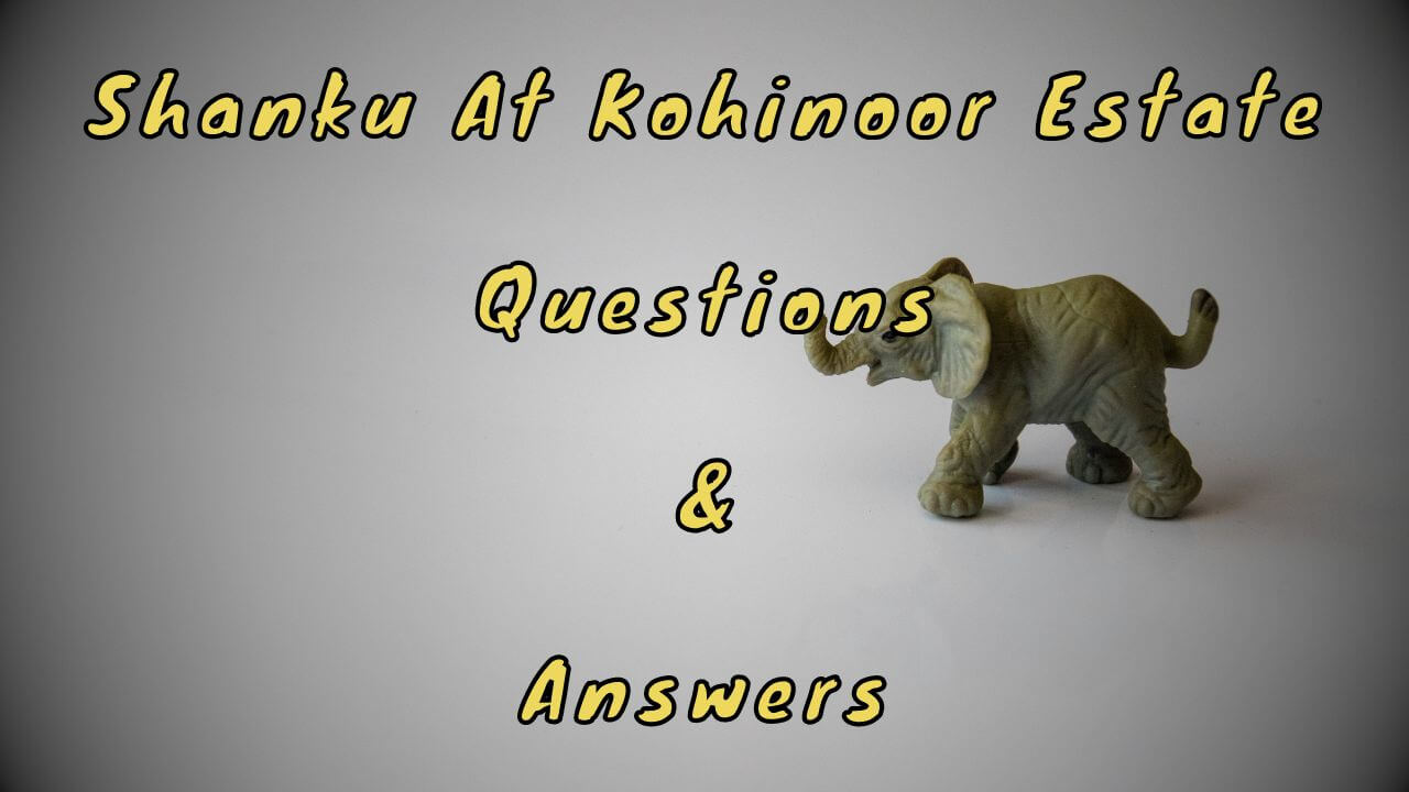 Shanku At Kohinoor Estate Questions & Answers