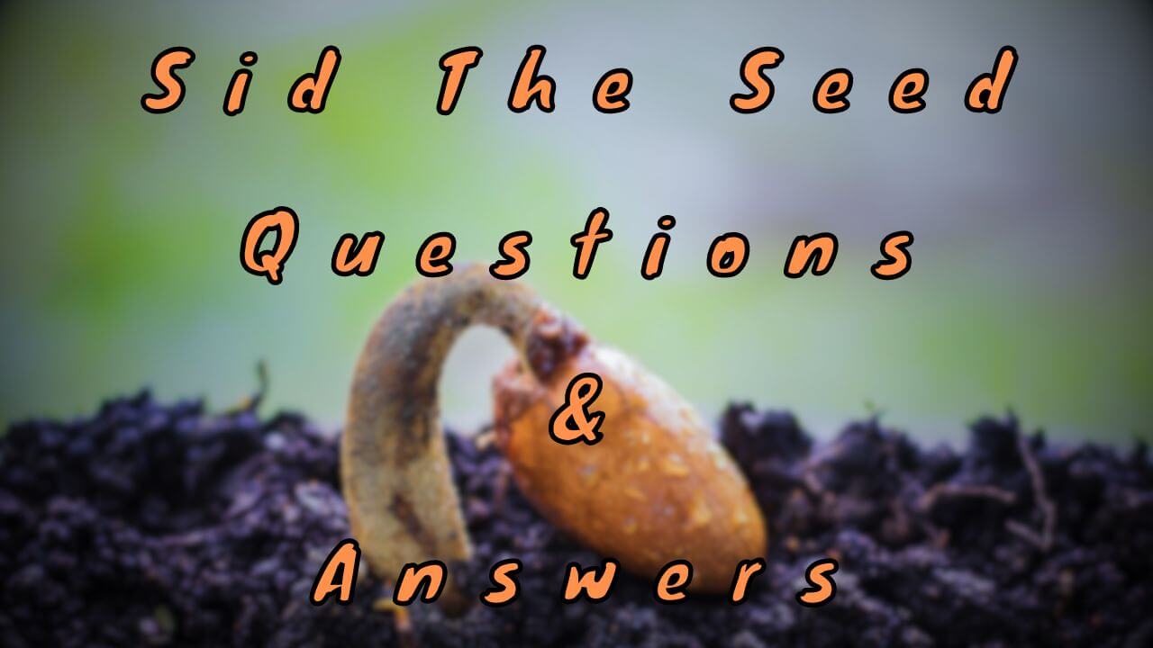 Sid The Seed Questions & Answers