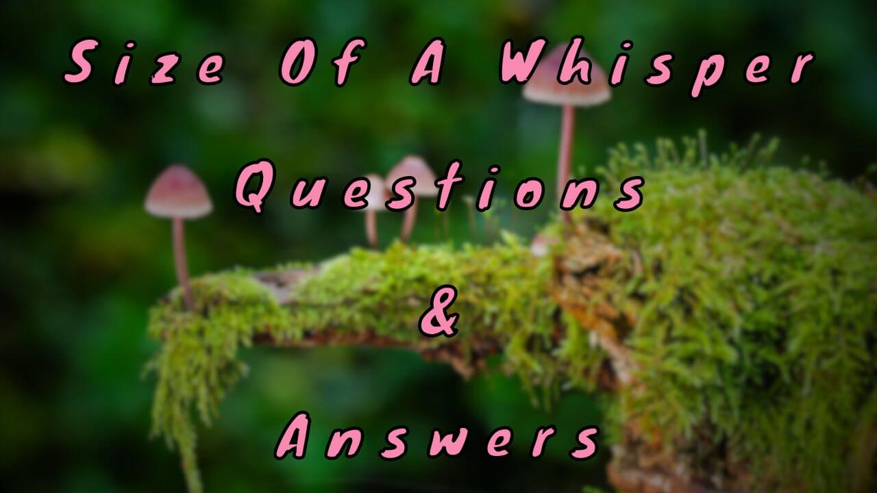 Size Of A Whisper Questions & Answers