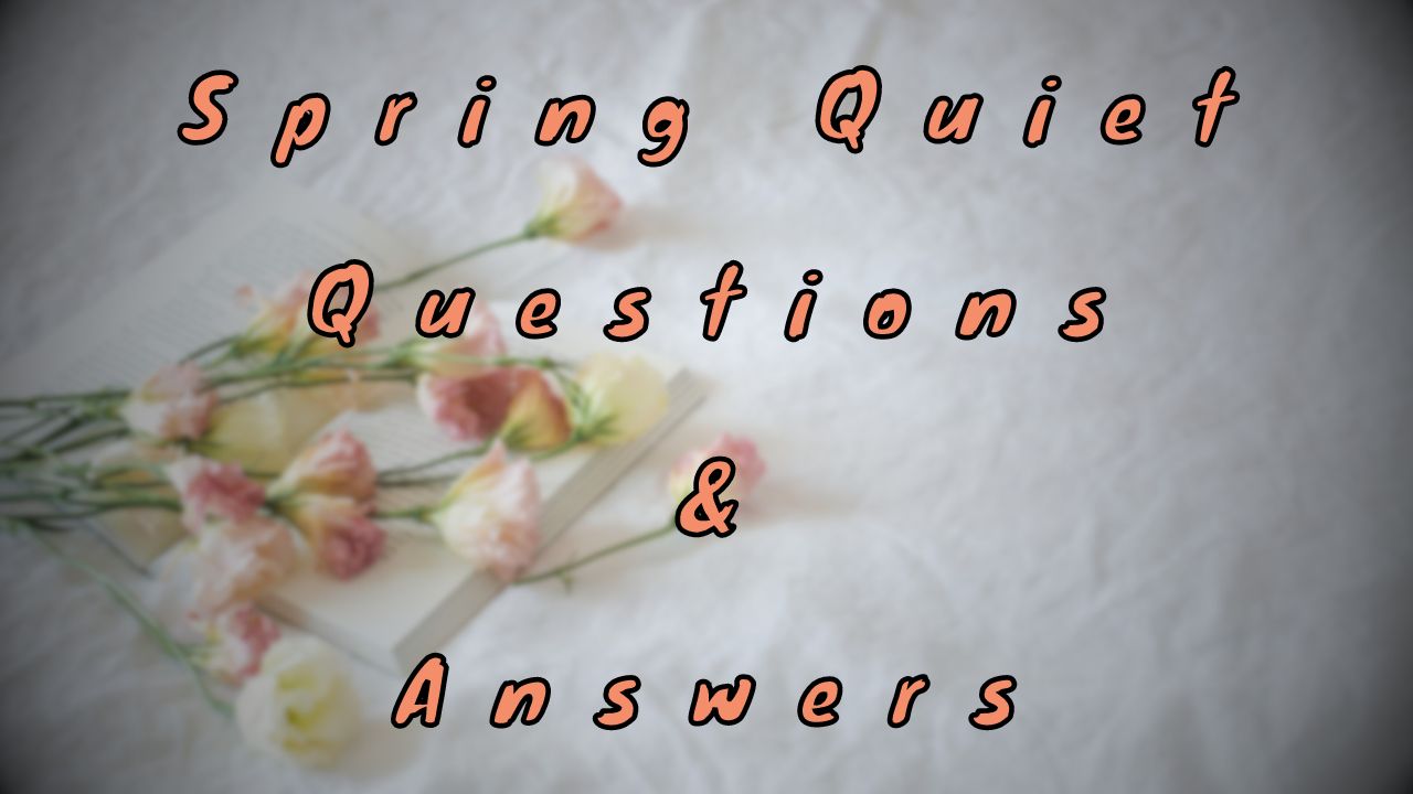 Spring Quiet Questions & Answers