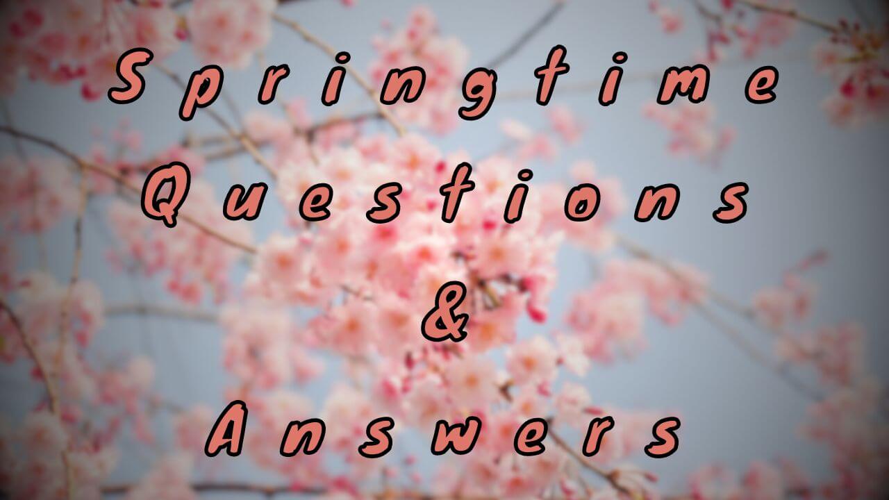 Springtime Questions & Answers