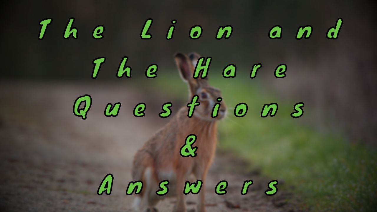 The Lion and The Hare Questions & Answers