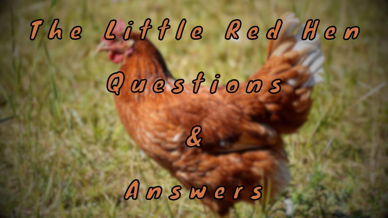 The Little Red Hen Questions & Answers