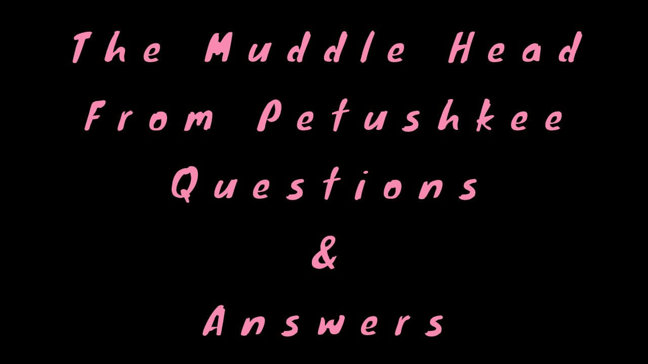 The Muddle Head From Petushkee Questions & Answers