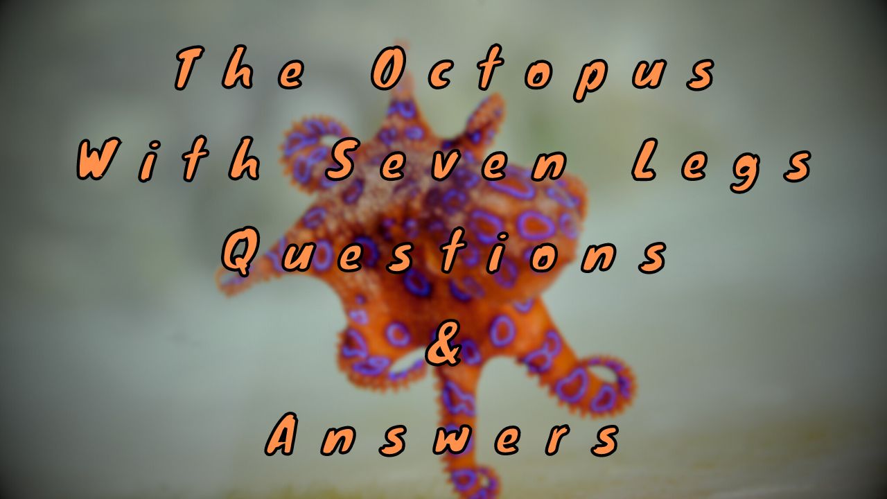 The Octopus With Seven Legs Questions & Answers