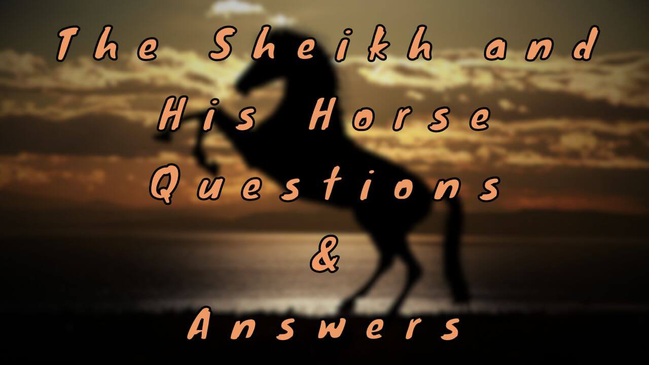 The Sheikh and His Horse Questions & Answers