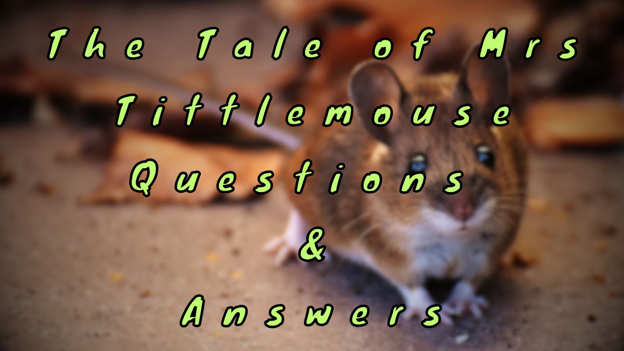 The Tale of Mrs Tittlemouse Questions & Answers