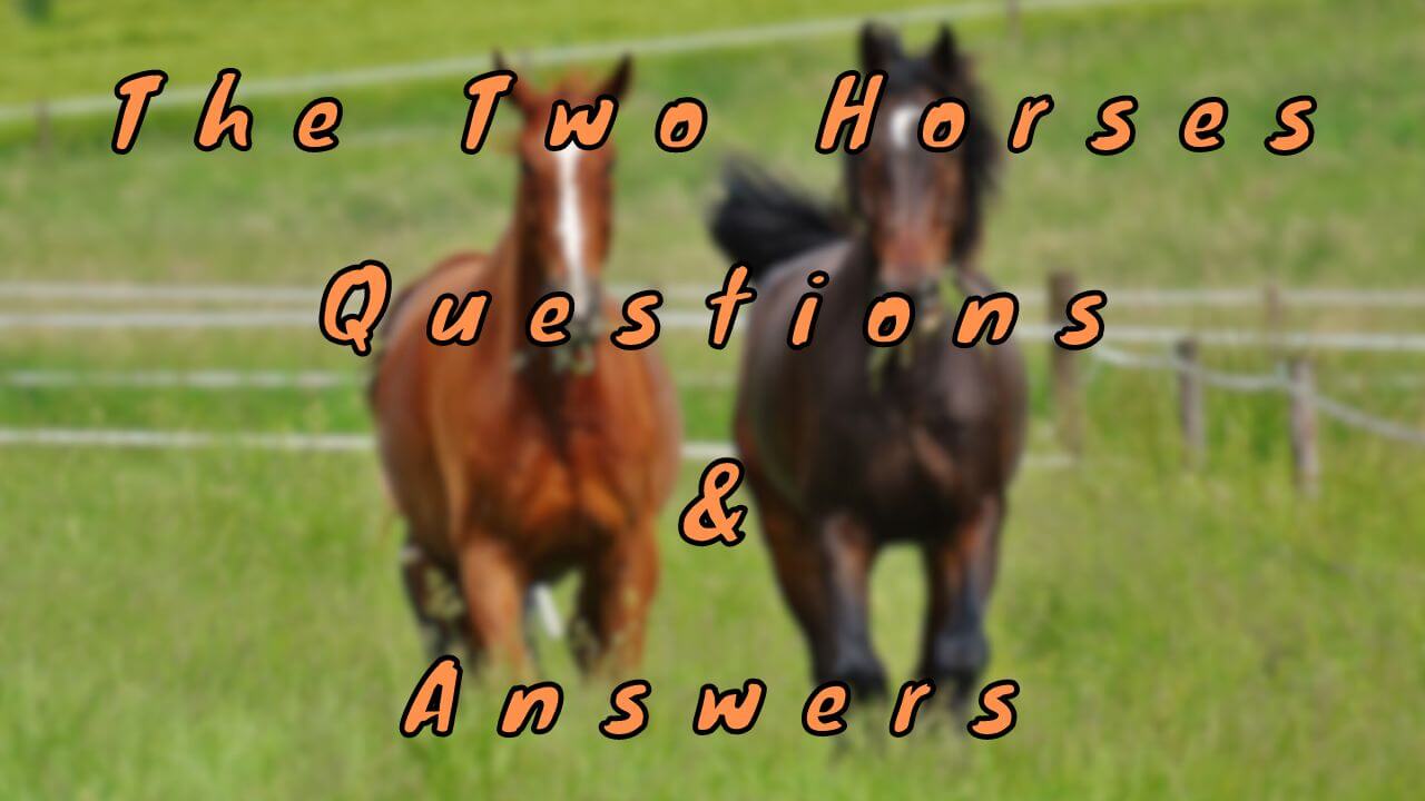 The Two Horses Questions & Answers