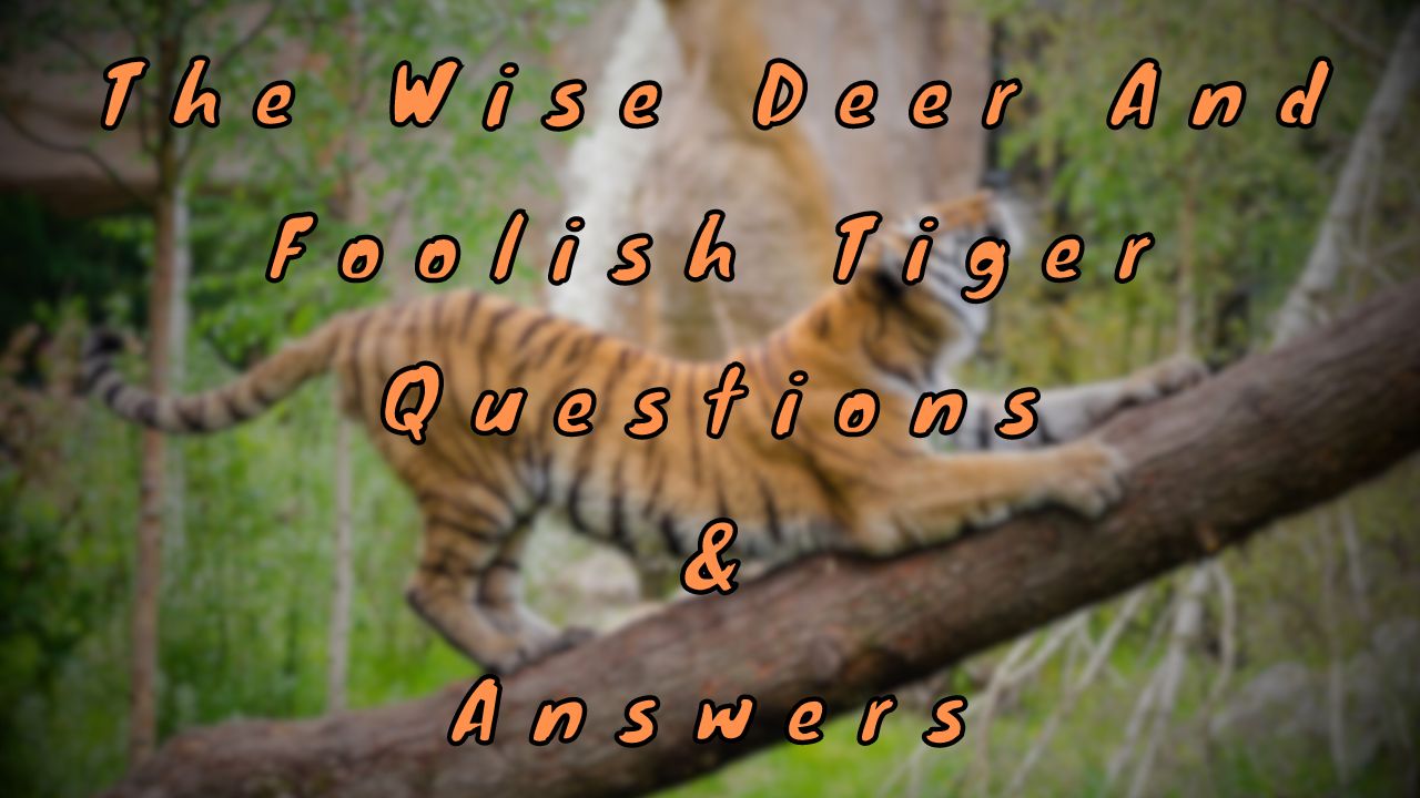 The Wise Deer and Foolish Tiger Questions & Answers