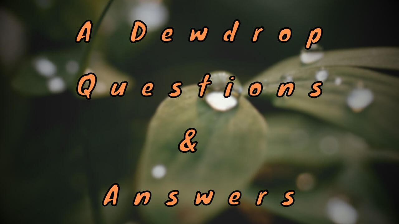 A Dewdrop Questions & Answers