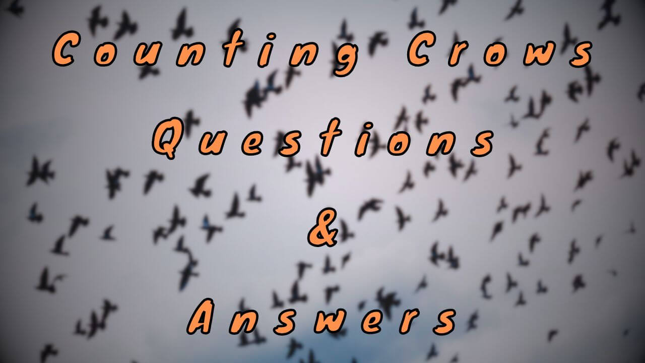 Counting Crows Questions & Answers