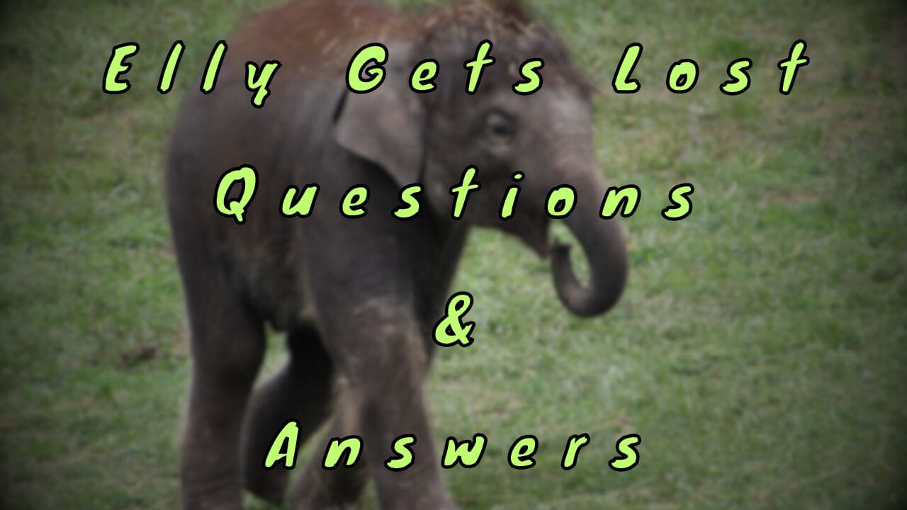 Elly Gets Lost Questions & Answers