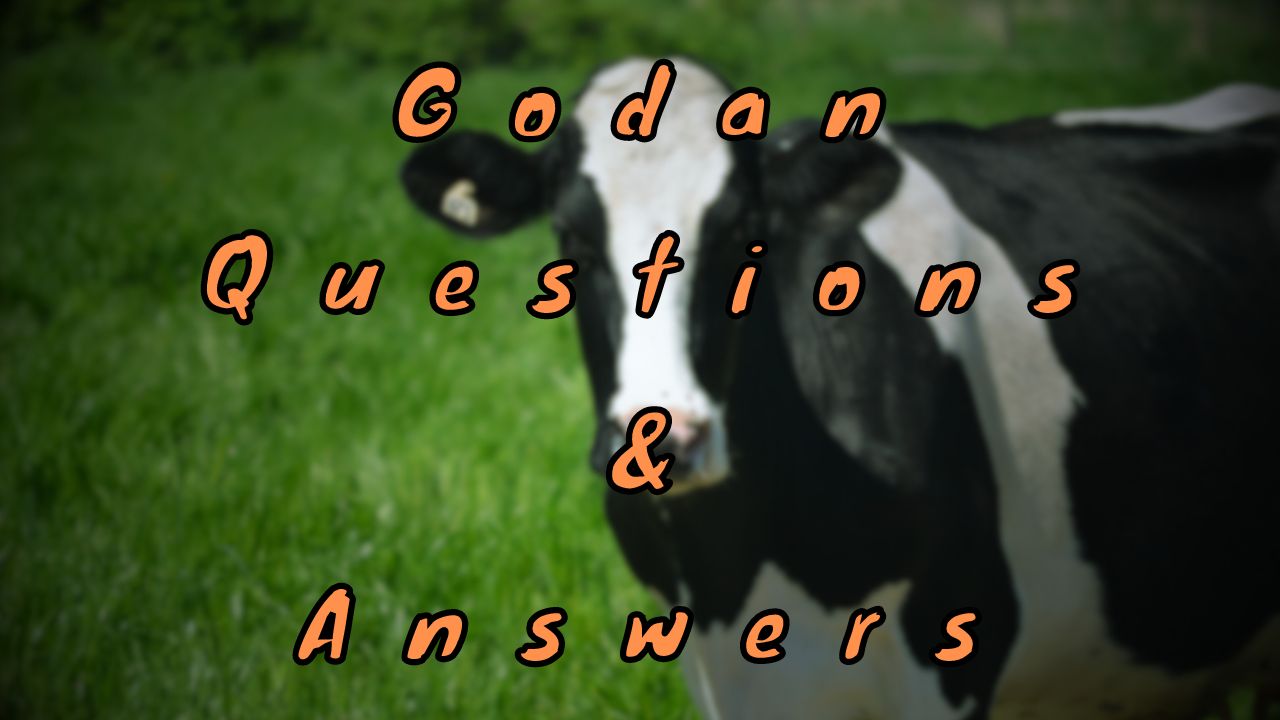 Godan Questions & Answers