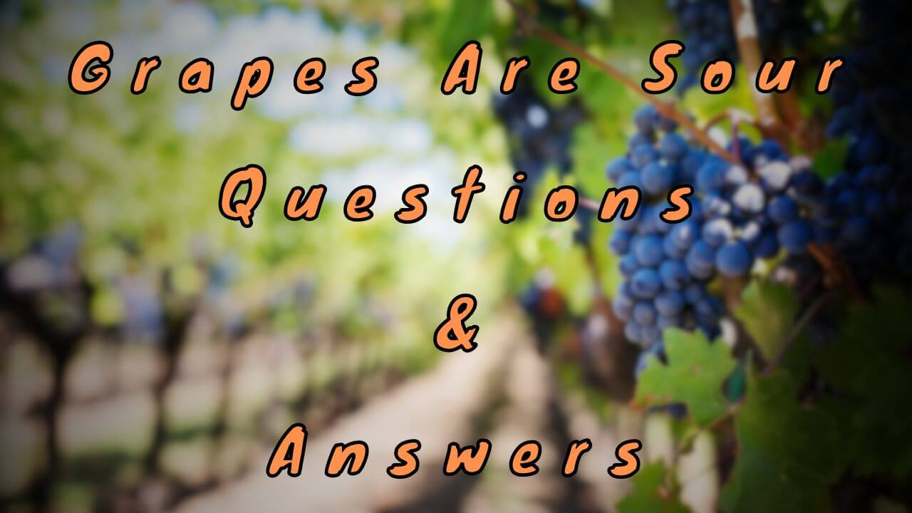 Grapes Are Sour Questions & Answers