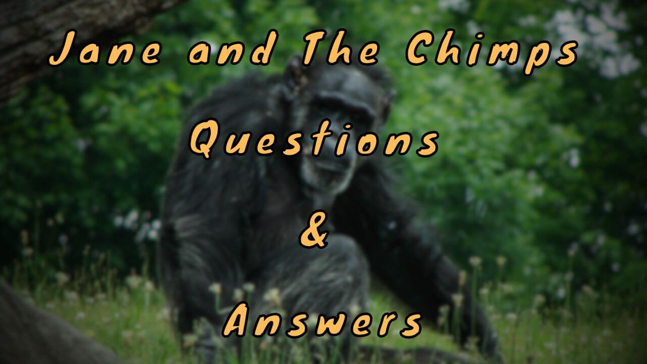 Jane and The Chimps Questions & Answers