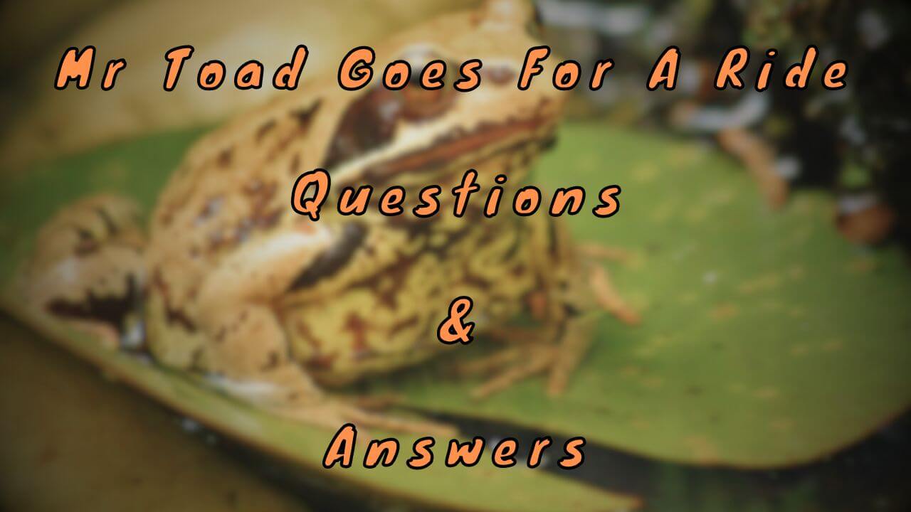 Mr Toad Goes For A Ride Questions & Answers