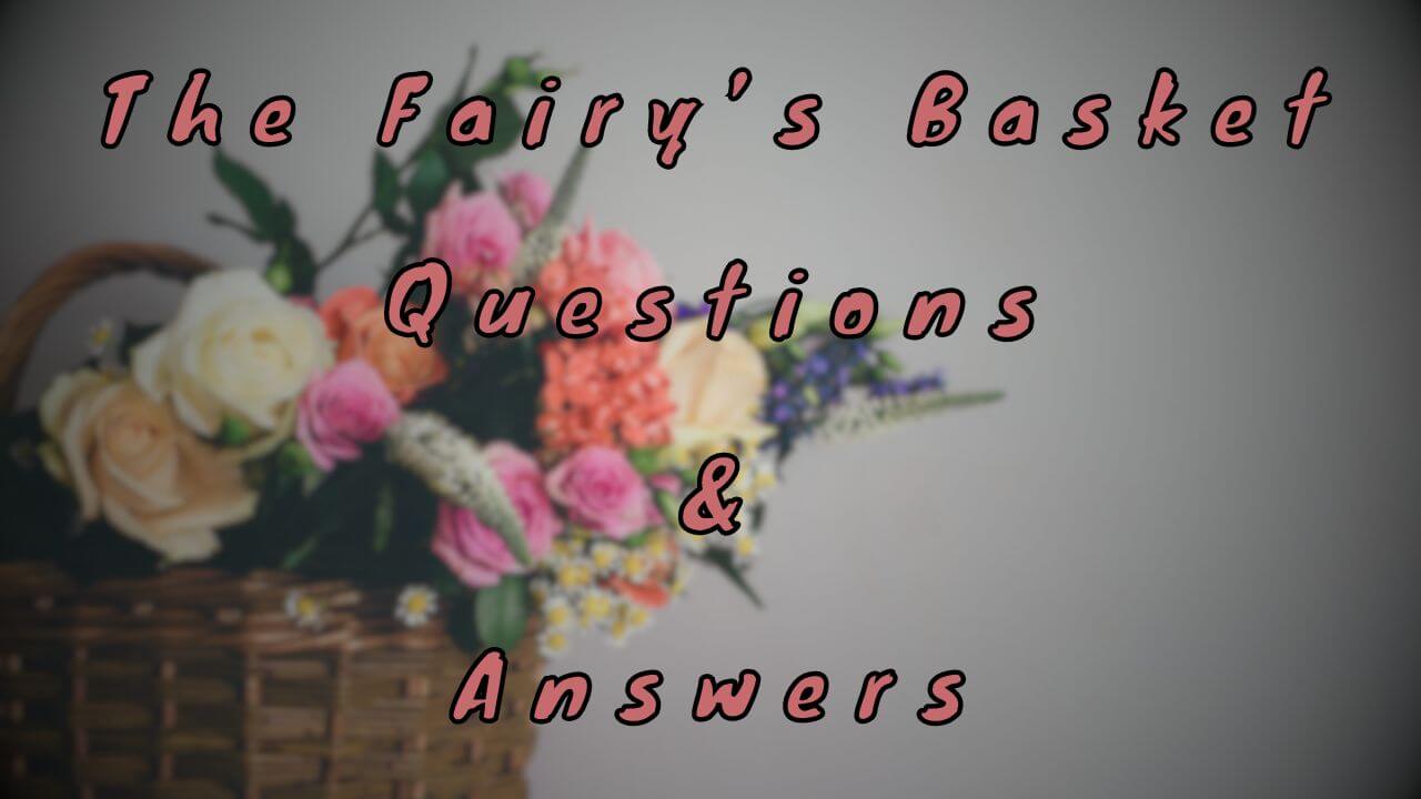 The Fairy’s Basket Questions & Answers