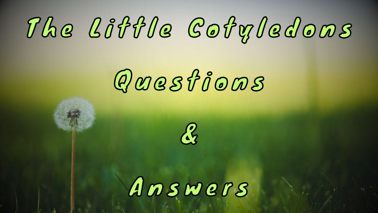 The Little Cotyledons Questions & Answers