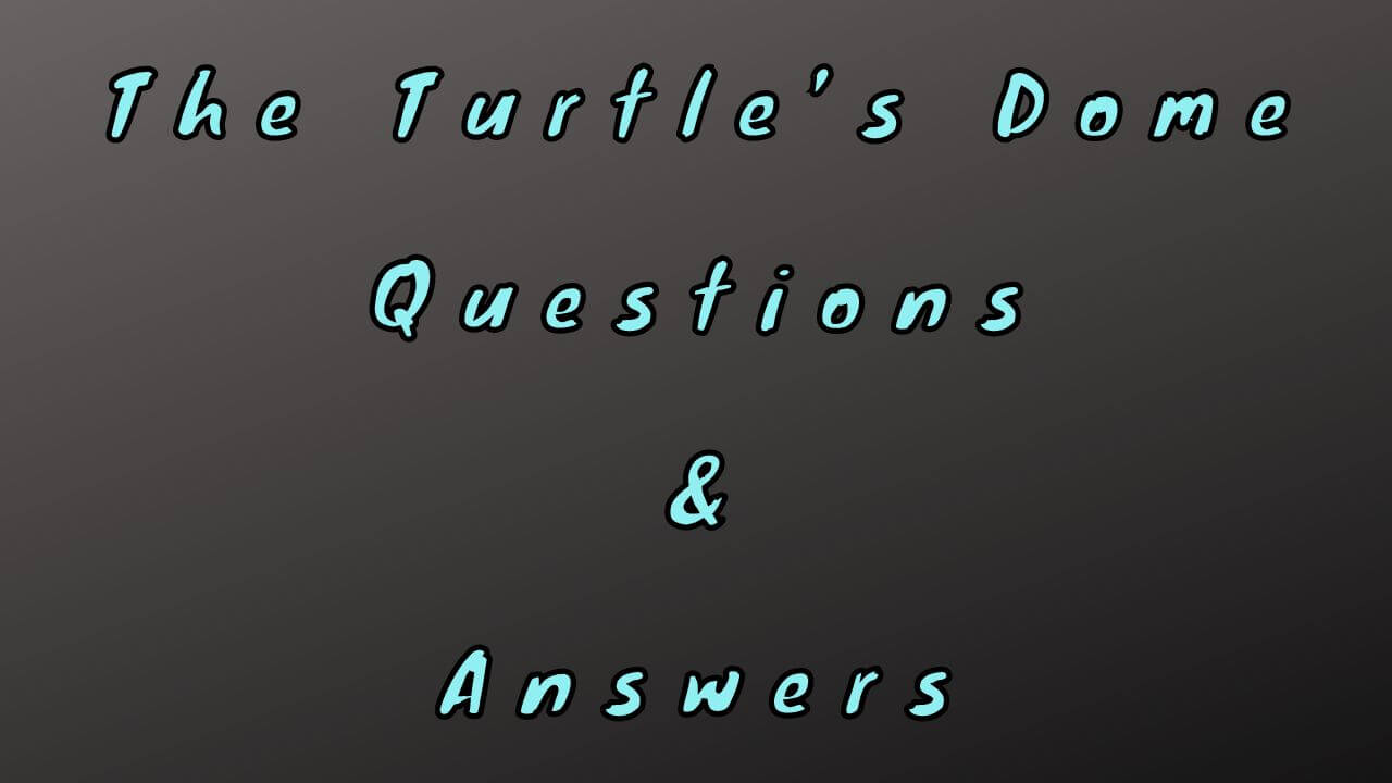 The Turtle’s Dome Questions & Answers