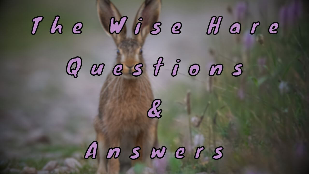 The Wise Hare Questions & Answers