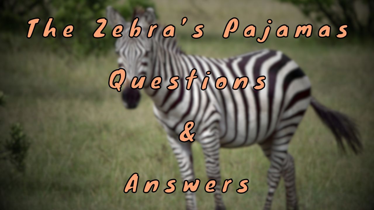 The Zebra’s Pyjamas Questions & Answers