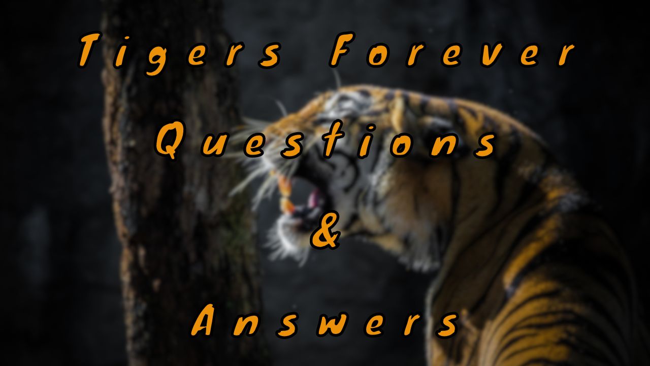 Tigers Forever Questions & Answers