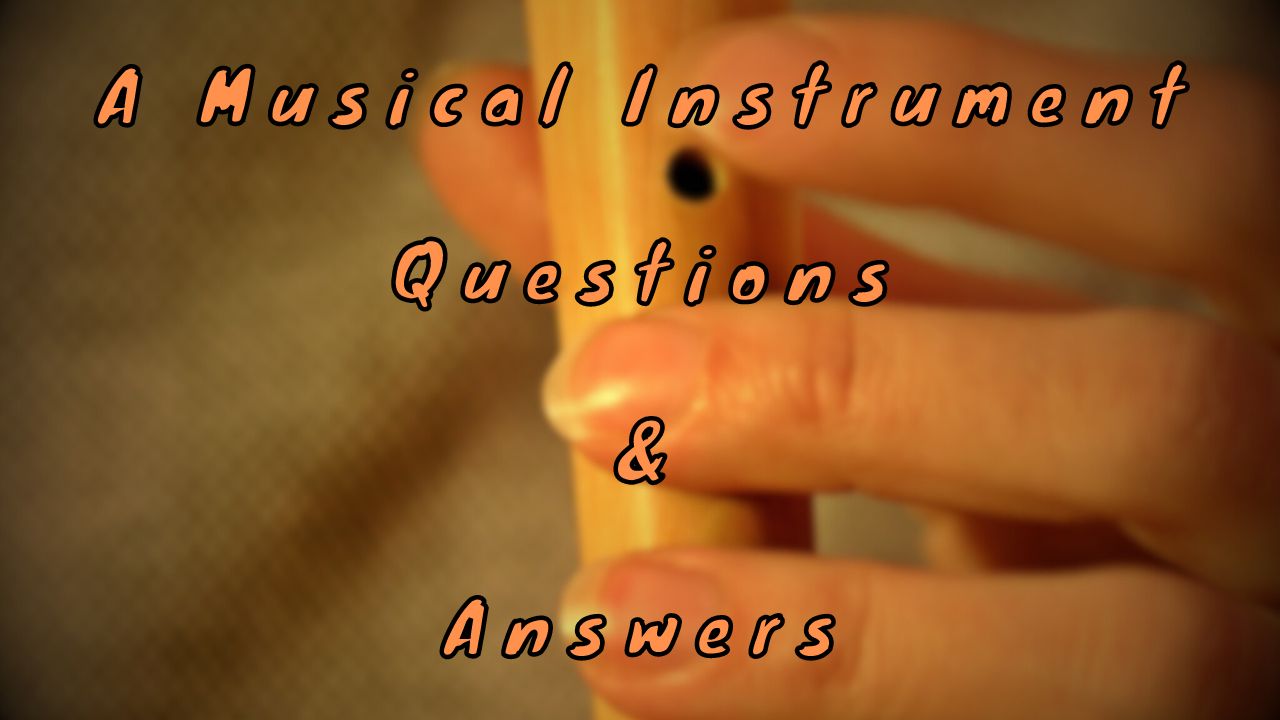 A Musical Instrument Questions & Answers