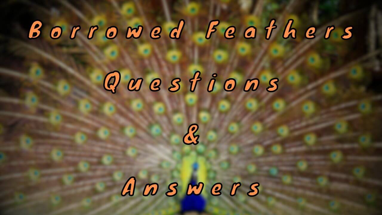 Borrowed Feathers Questions & Answers