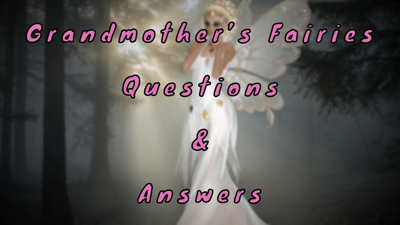 Grandmother’s Fairies Questions & Answers