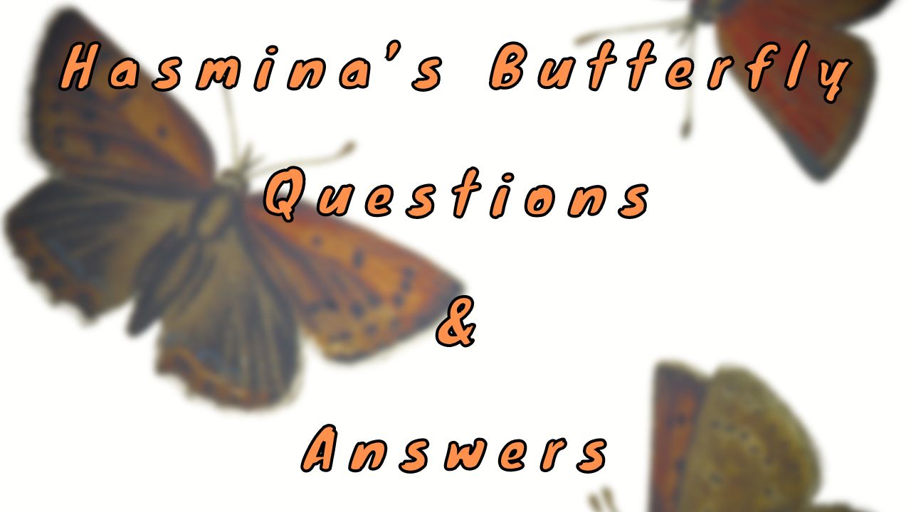 Hasmina’s Butterfly Questions & Answers