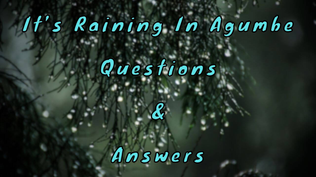 It’s Raining In Agumbe Questions & Answers