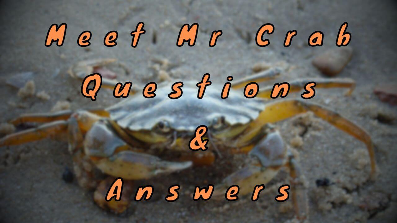 Meet Mr Crab Questions & Answers