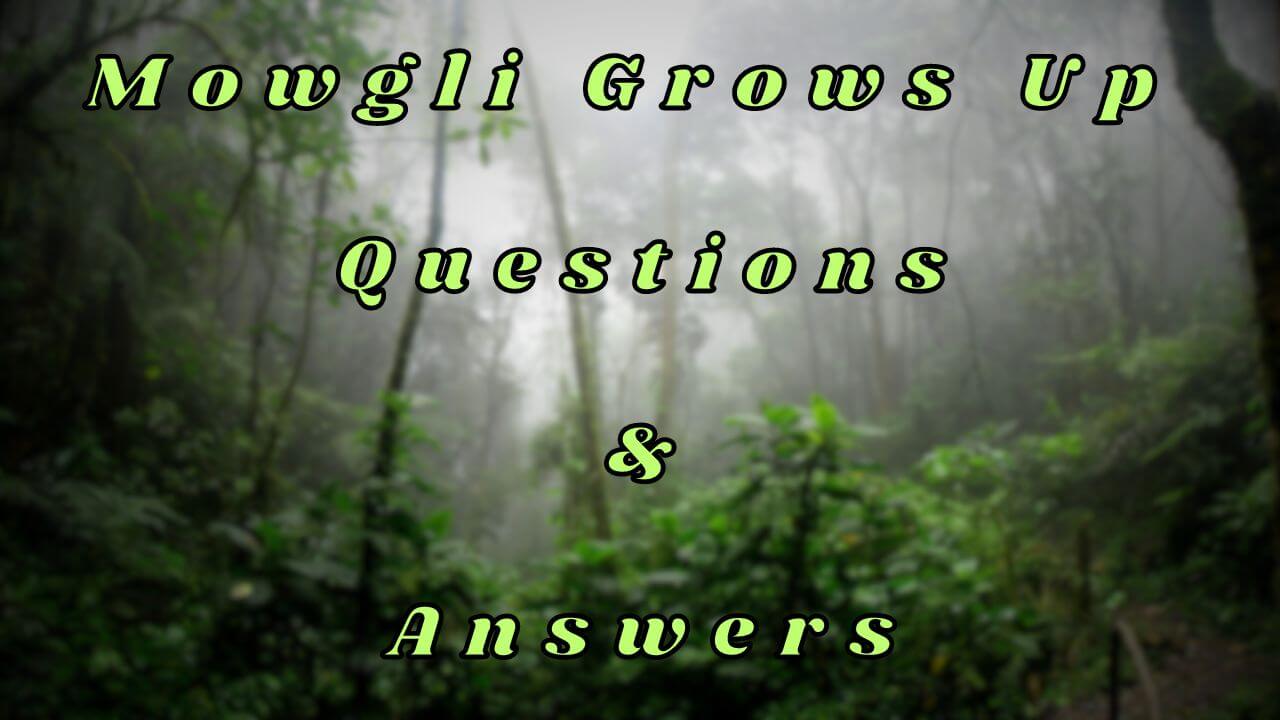 Mowgli Grows Up Questions & Answers