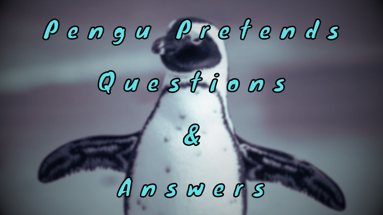 Pengu Pretends Questions & Answers