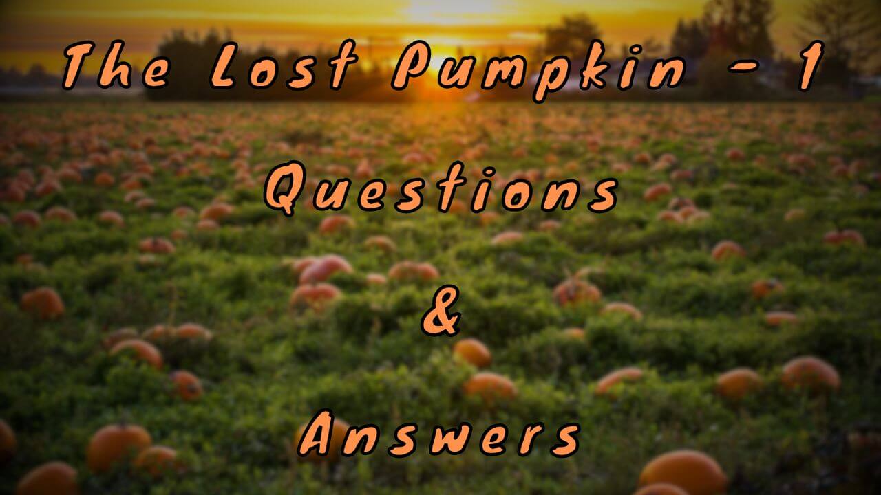 The Lost Pumpkin - 1 Questions & Answers