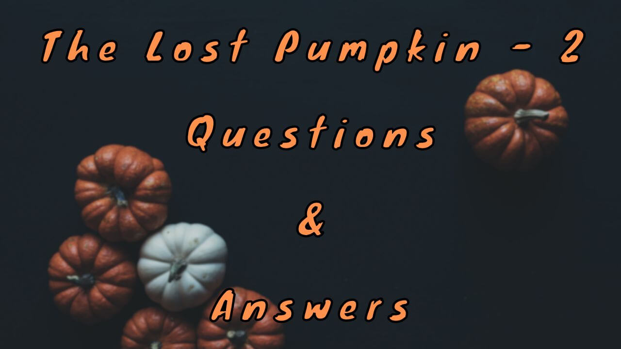 The Lost Pumpkin - 2 Questions & Answers