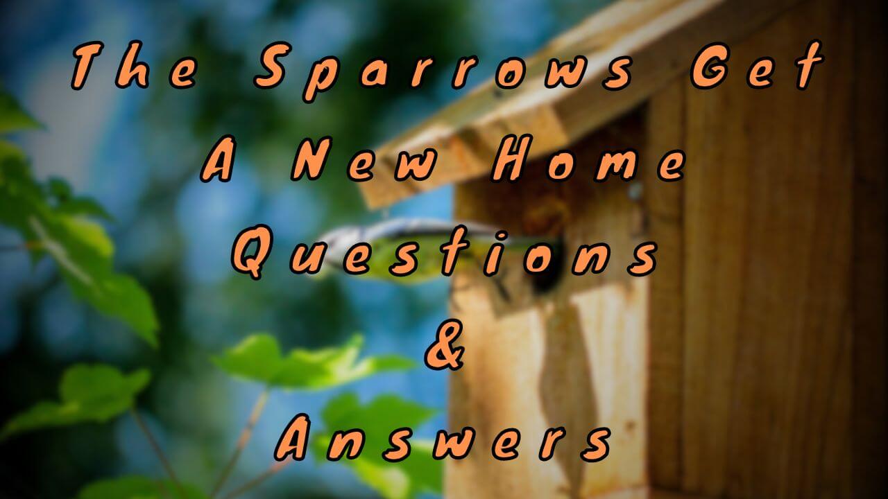 The Sparrows Get A New Home Questions & Answers