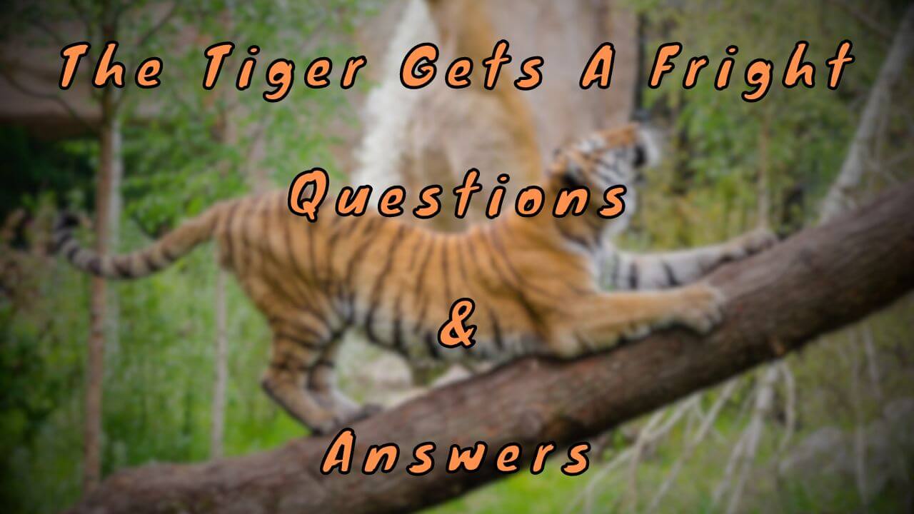 The Tiger Gets A Fright Questions & Answers