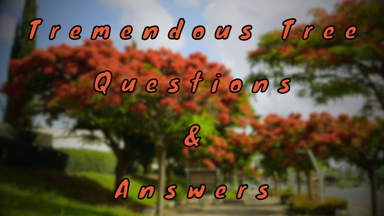 Tremendous Tree Questions & Answers