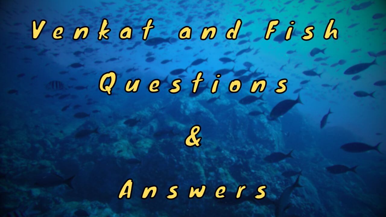 Venkat and Fish Questions & Answers