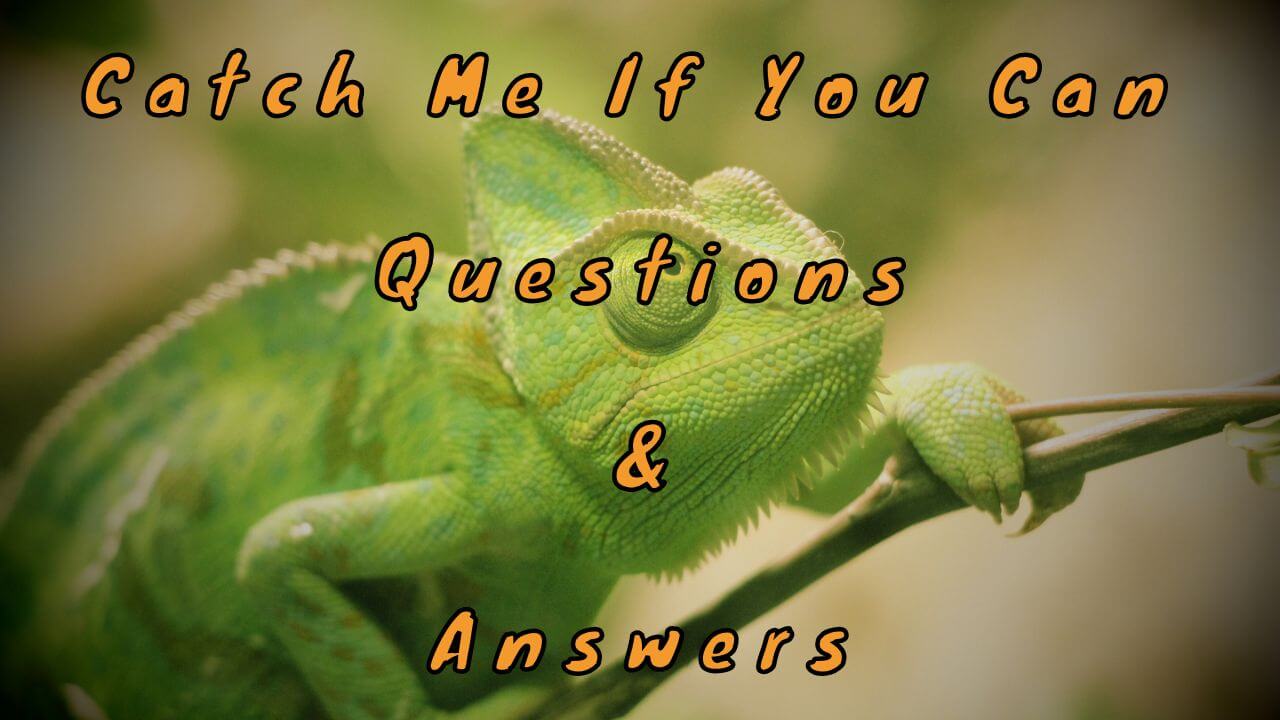 Catch Me If You Can Questions & Answers