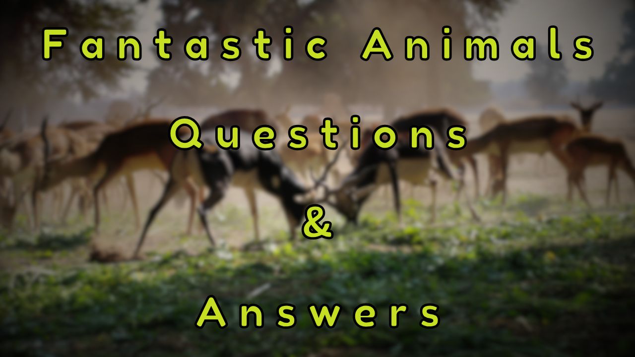 Fantastic Animals Questions & Answers