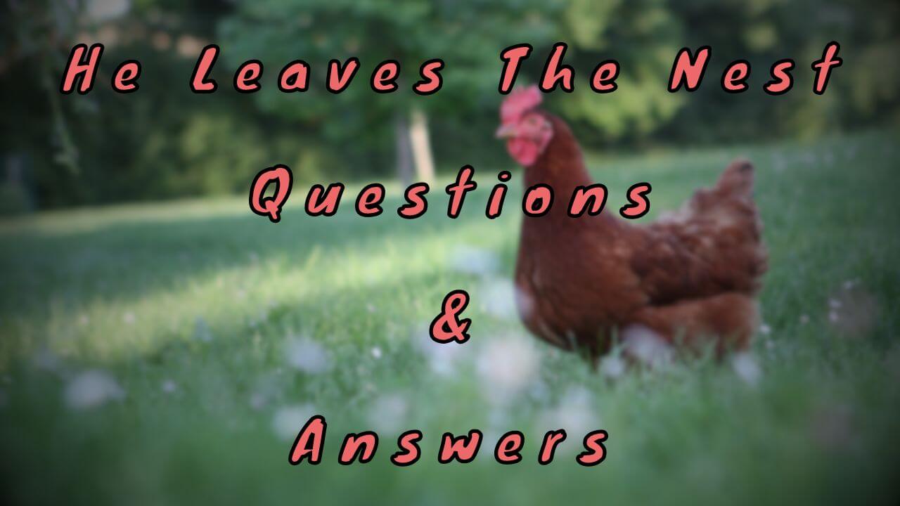 He Leaves The Nest Questions & Answers