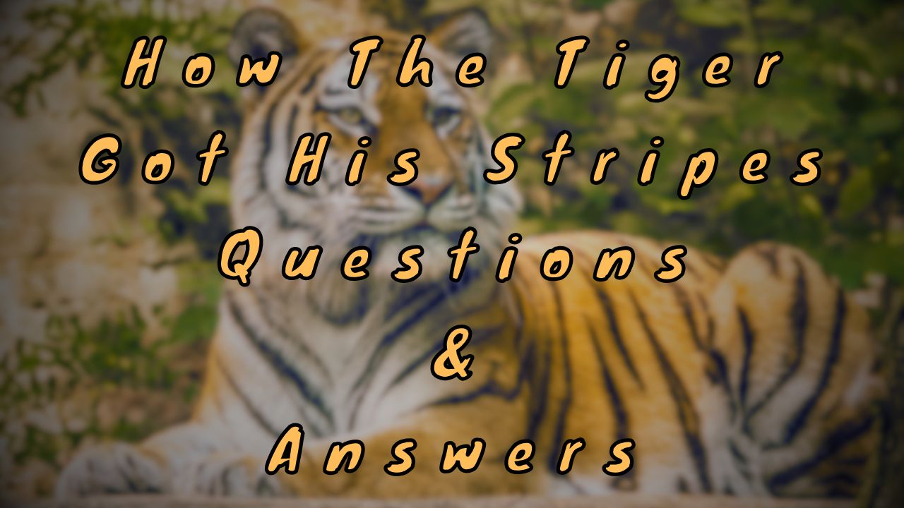 How The Tiger Got His Stripes Questions & Answers