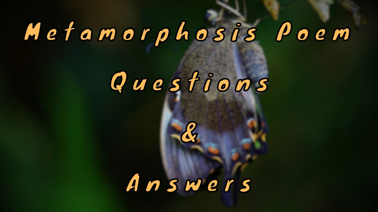 Metamorphosis Poem Questions & Answers