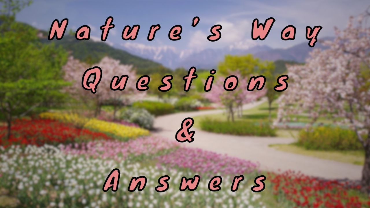 Nature’s Way Questions & Answers